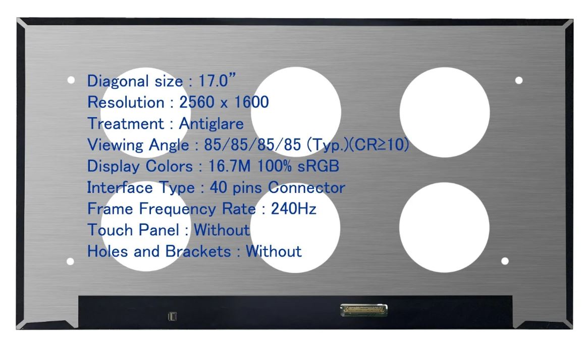 BOE NE170QDM-NZ1 17" Matte WQXGA IPS LED LCD Laptop Replacement Screen